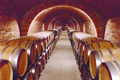Familieferie Spania Lei Leiligheter 25 km fra Penedes og Priorat