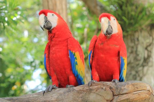 Apartamento en la playa para alquilar en Calafell cerca de Barcelona. Apartamento Costa d'Or a sólo una hora del zoo de Barcelona.