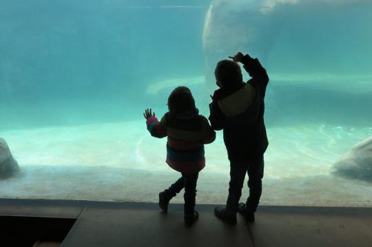 Familien-Strandapartment in Calafell in der Nähe von Barcelona zu mieten und das Aquarium von Barcelona zu besuchen. Mietwohnung in Costa d'Or.