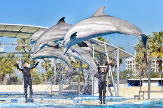 Nyt en strandferie ved sjøen og besøk Barcelona, Tarragona og Port Aventura World, Spania 