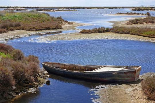 Vacances a la platja prop de Delta de l'Ebre. Quedeu-vos a la platja de Calafell als Apartaments de lloguer Costa d'Or.