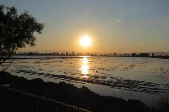 Familjstrandlägenhet att hyra i Calafell nära Ebro Delta. Hyr lägenhet i Costa d’Or. Njut av Calafell-stranden och njut av Ebro Delta.