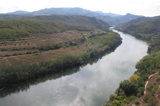 Ferienwohnungen zu vermienten am Strand von Calafell und besuchen Sie Ebro Delta. Genießen Sie in Ferienwohnungen Costa d'Or.