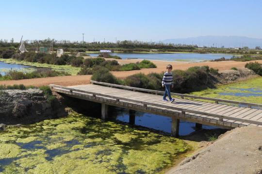 Alquiler de apartamentos de playa en Calafell y visite el Delta del Ebro. Disfrute de la mejor estancia en Apartamentos Costa d'Or en Calafell.