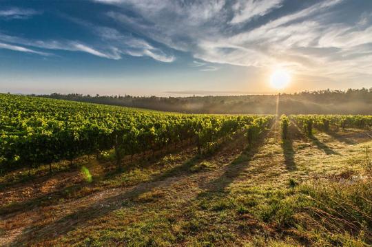 Familien-Strandapartment in Penedès zu mieten und Vilafranca zu besuchen. Genießen Sie Calafell in den Ferienwohnungen Costa d'Or. 