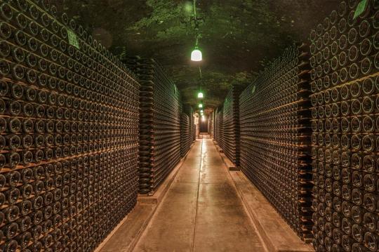 Sommerstrandurlaub in der Nähe von Cava in Sant Sadurni. Genießen Sie Ihren Urlaub in den Ferienwohnungen Costa d'Or in Calafell.