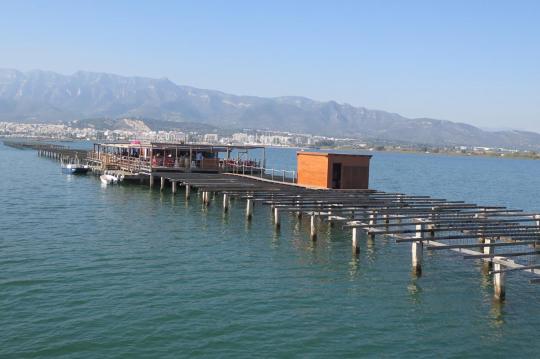 Costa d'Or hotellejlighed tilbyder dig strand lejligheder til leje med pool