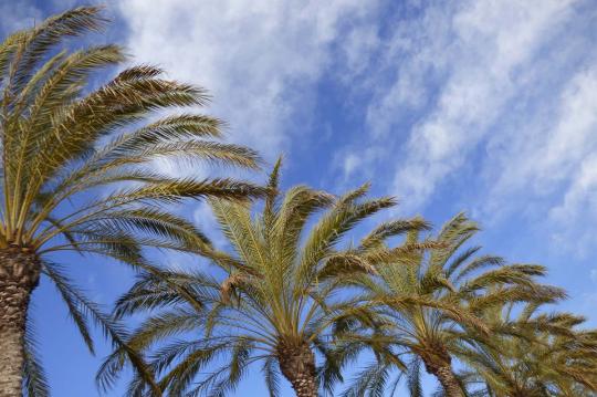 A cidade turística da praia de Calafell situa-se entre Barcelona e Tarragona, no coração da Costa Dorada.